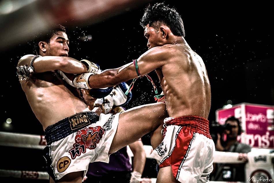 ufabet1688 boxing bet